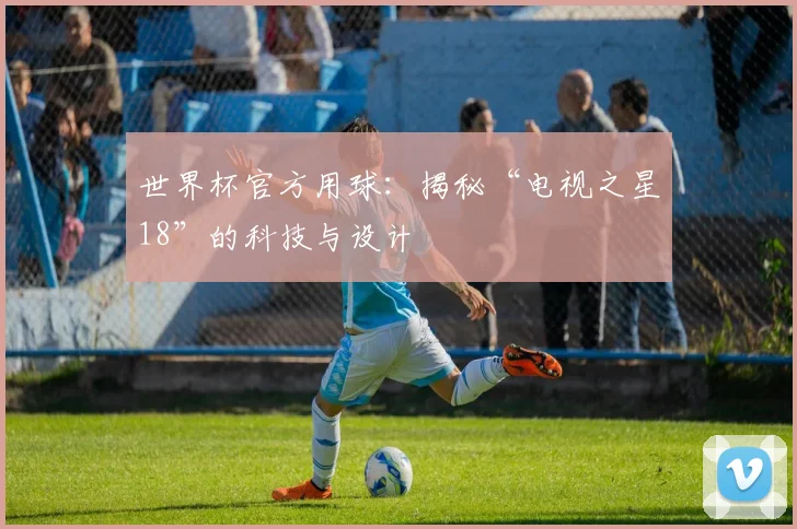 世界杯官方用球：揭秘“电视之星18”的科技与设计