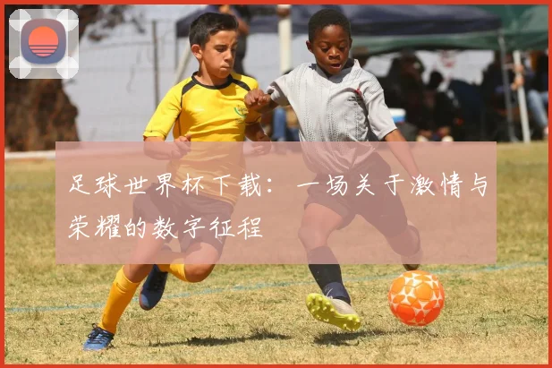 足球世界杯下载：一场关于激情与荣耀的数字征程